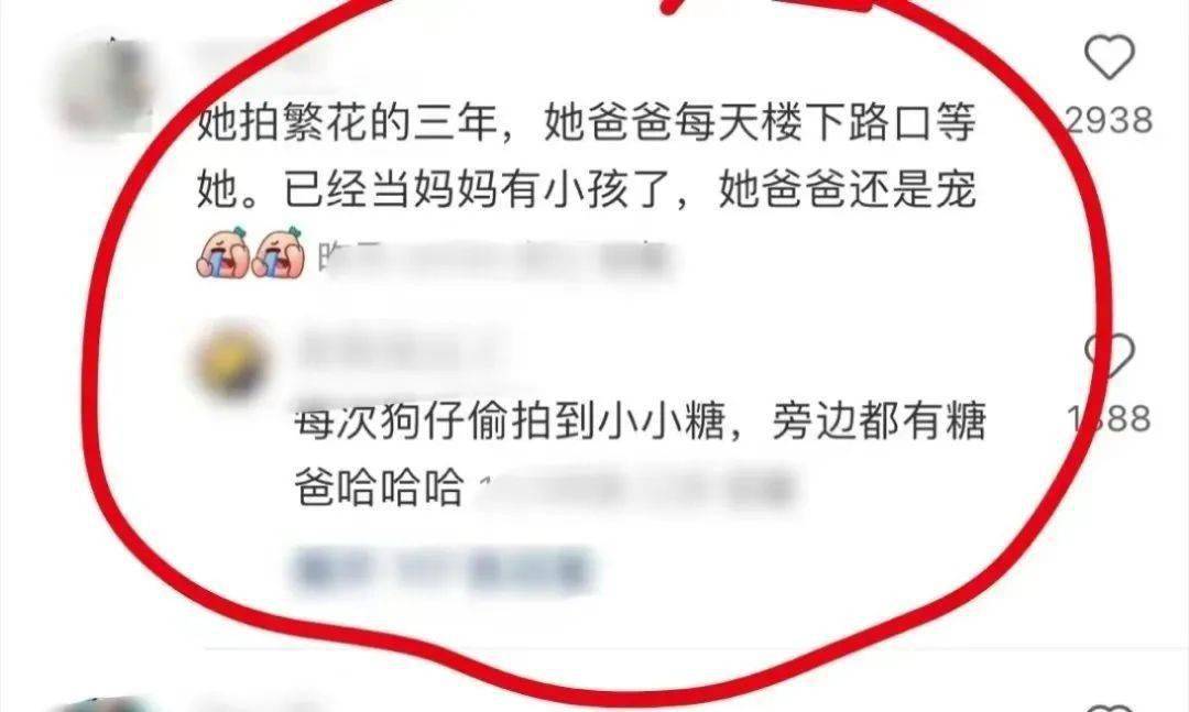 不仅如此