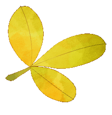 peach flowers reddened by night rain,translated by xu yuanchon