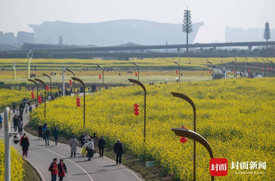 油菜花开了来成都环城生态区赴春日之约图集