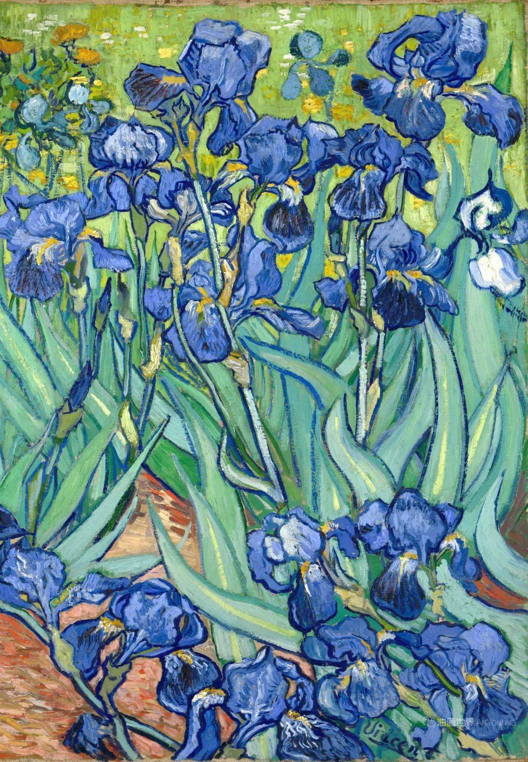 《鸢尾花》1889年   71x93cm  收藏于洛杉矶盖兹美术馆1889年5月,梵高