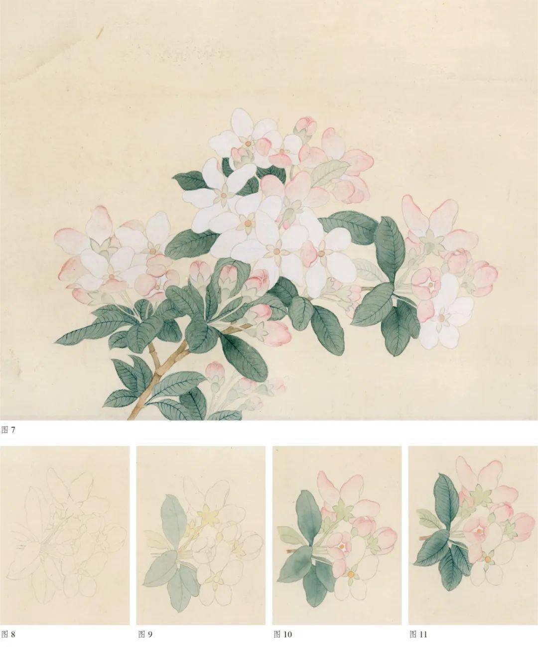 象进行比对,我们会发现画家对自然物象形态的取舍与调整,如对水仙花瓣