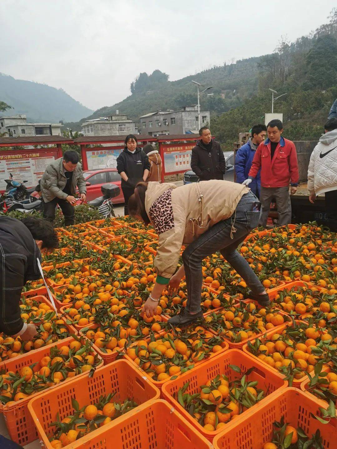 销售_筠连县_腾达镇