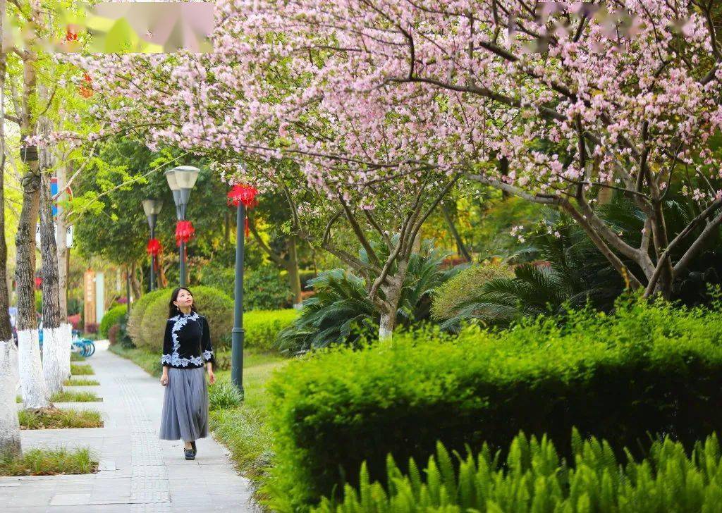 接下来的遂宁64花64花64花64花64花64