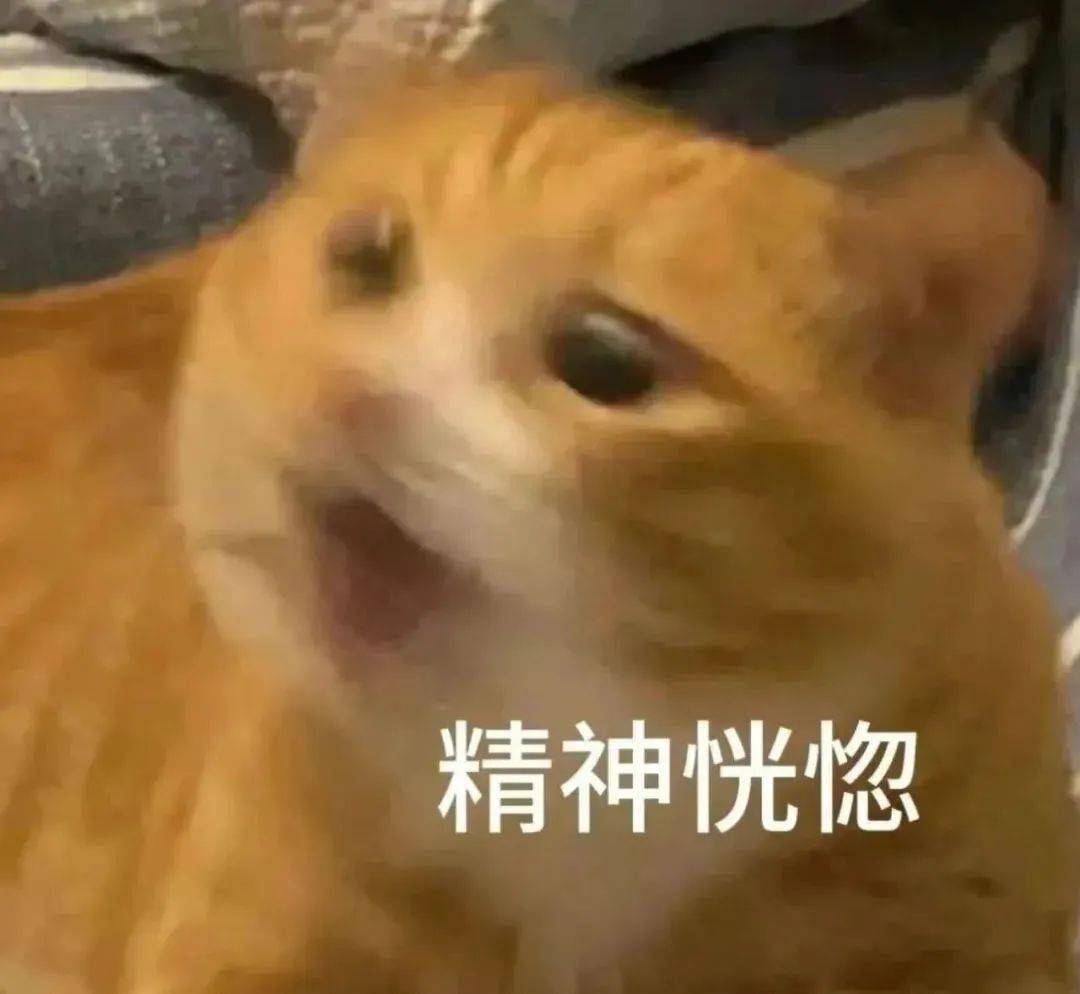 丨第931期喵表情包_侵权_网络_图片