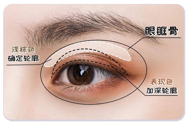 详细版眼妆画法教程_范围_眼影_眼睛