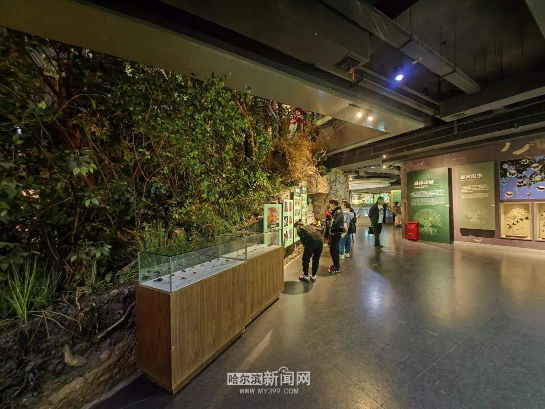 中国哈尔滨森林博物馆图片