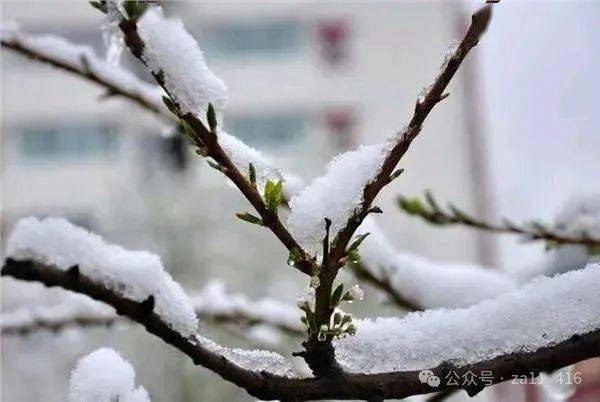 《中国爱情诗刊》(第2803期)"中国爱情小诗"同题诗