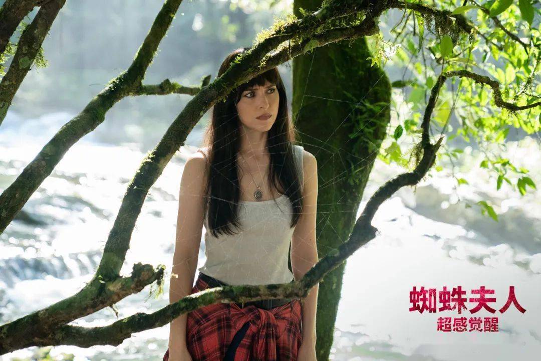 凯茜_影片_看点