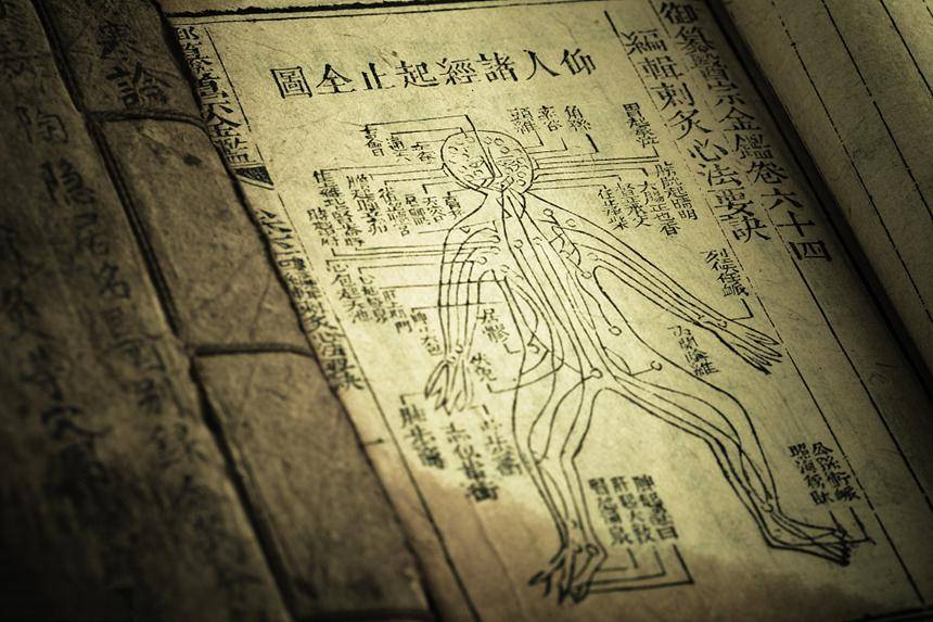 能量_心包_功能