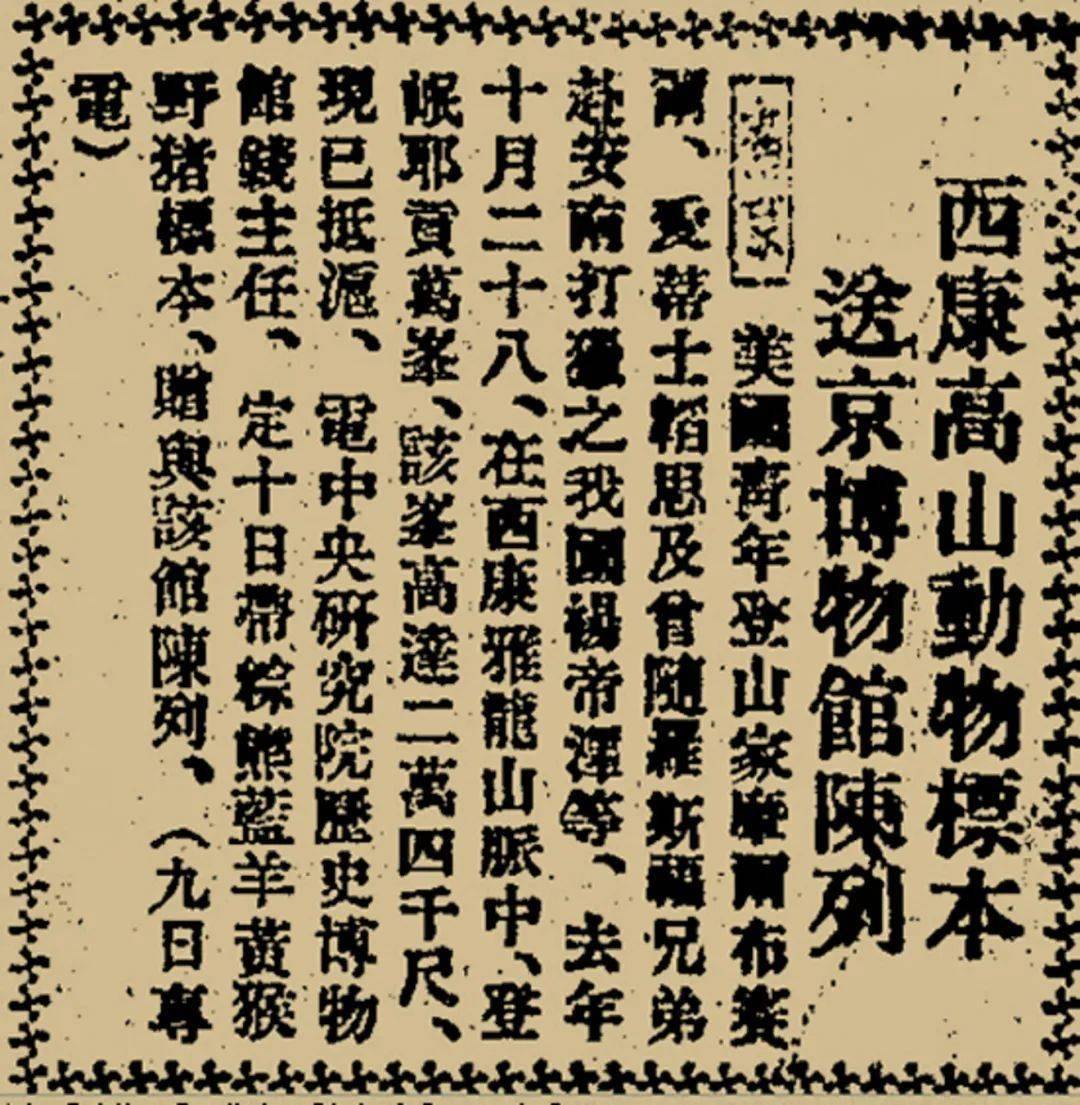 【美丽四川】雅安:大熊猫标本的起源地_杨帝泽_动物_中国