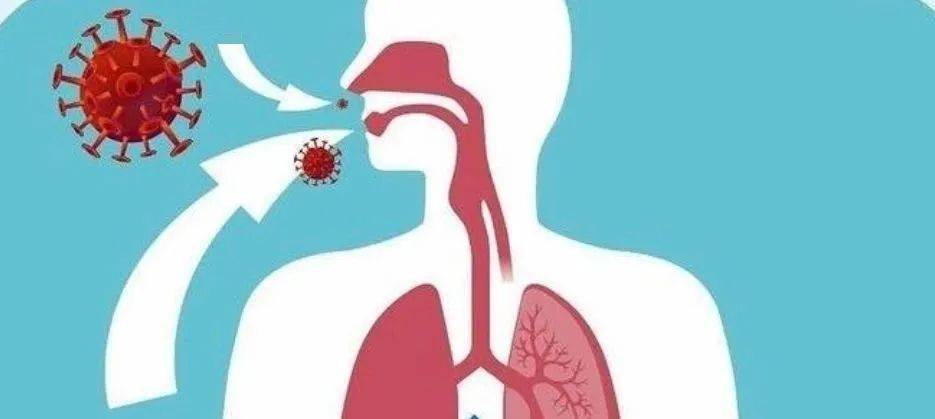 急性细菌性上呼吸道感染的经验性抗菌治疗原则_临床_药物_病原菌