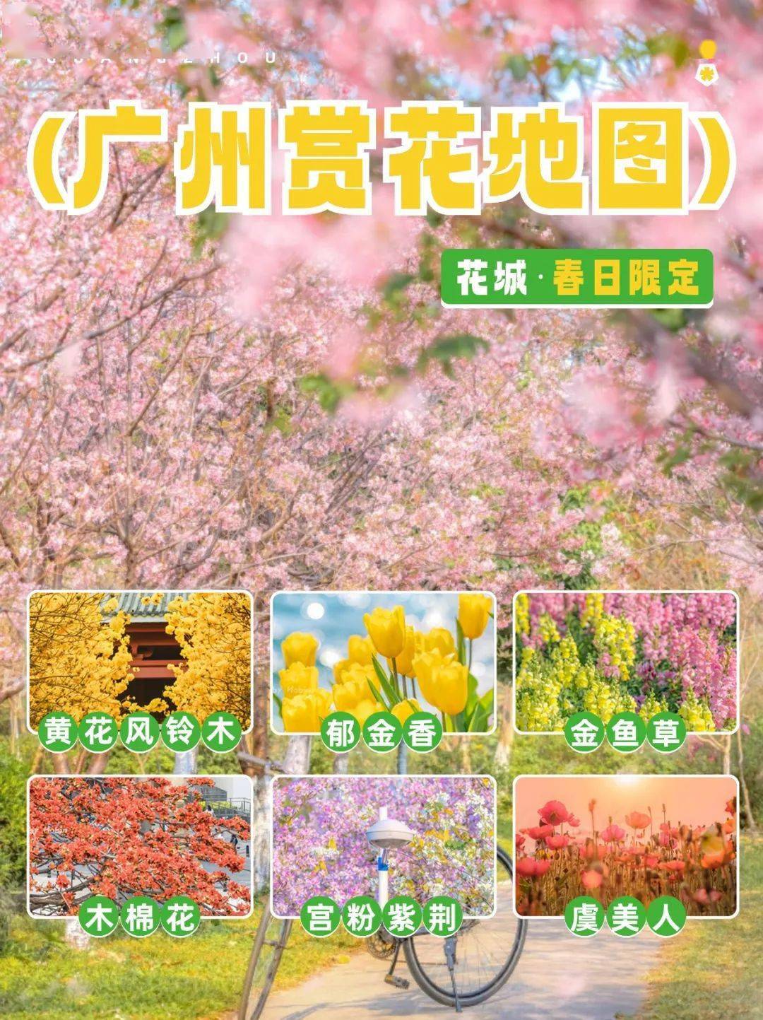 最美花城季节真的来了!_hobin_公园_木棉花