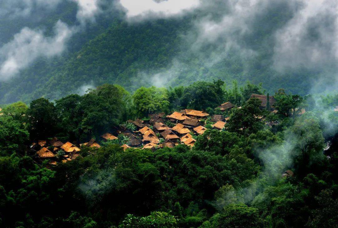 春茶季游临沧临沧佤山寻茶生态旅游精品线路