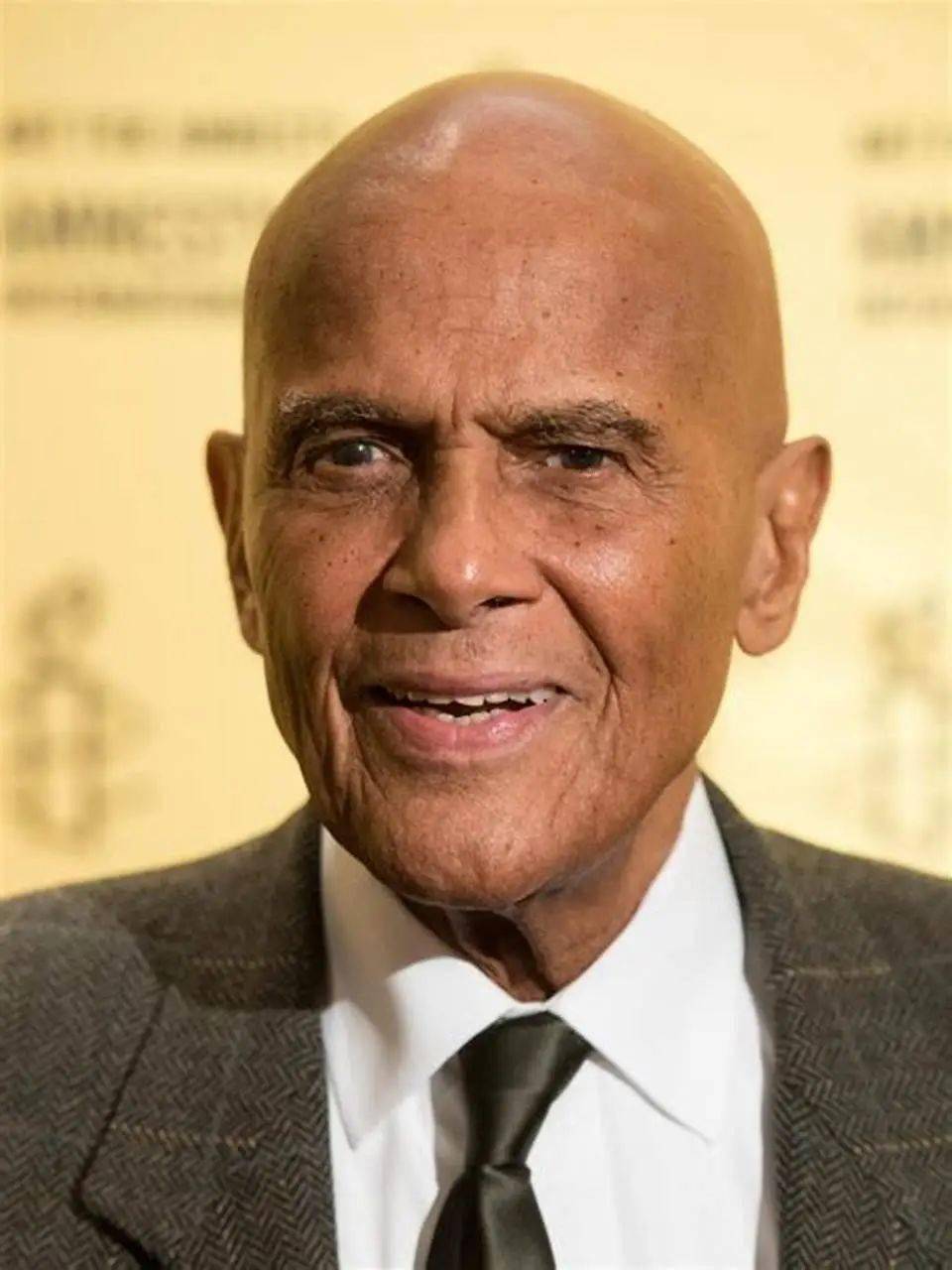 他是第一位获得托尼奖的非洲裔演员,第一位获得艾美奖的非洲裔美国人