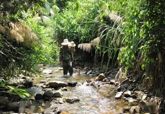 野外工作注意事项都是前辈们拿血的教训换来的