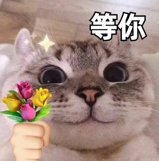 一起来留言区聊聊~封面表情包自取一个"福利"说起云南你想到的是旖旎