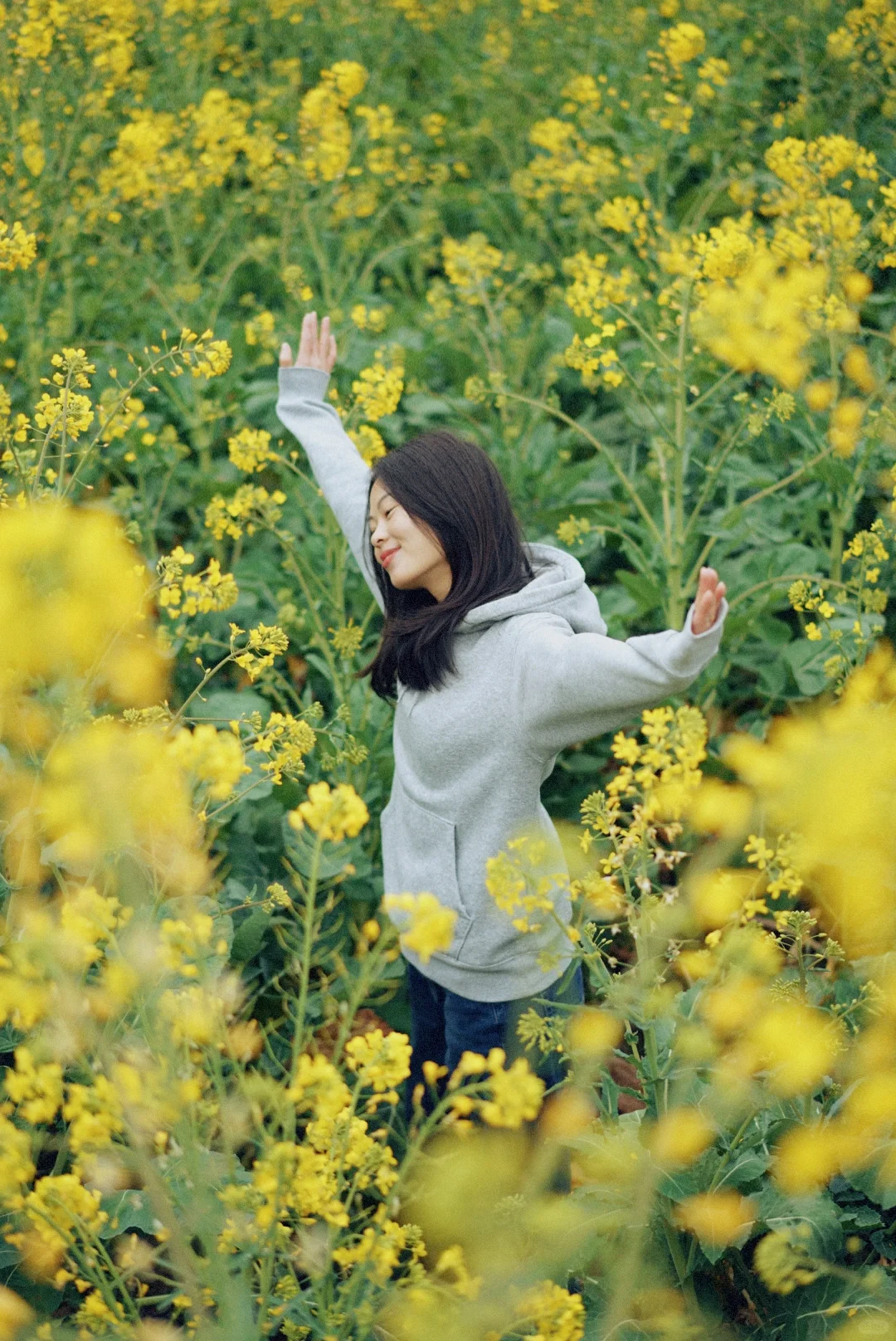 千真万确成都人被油菜花海包围了