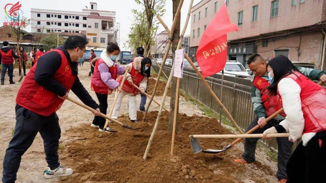 党群共绘"绿美丹灶"新画卷 | "百千万工程"在丹灶92_建设_活动_工作