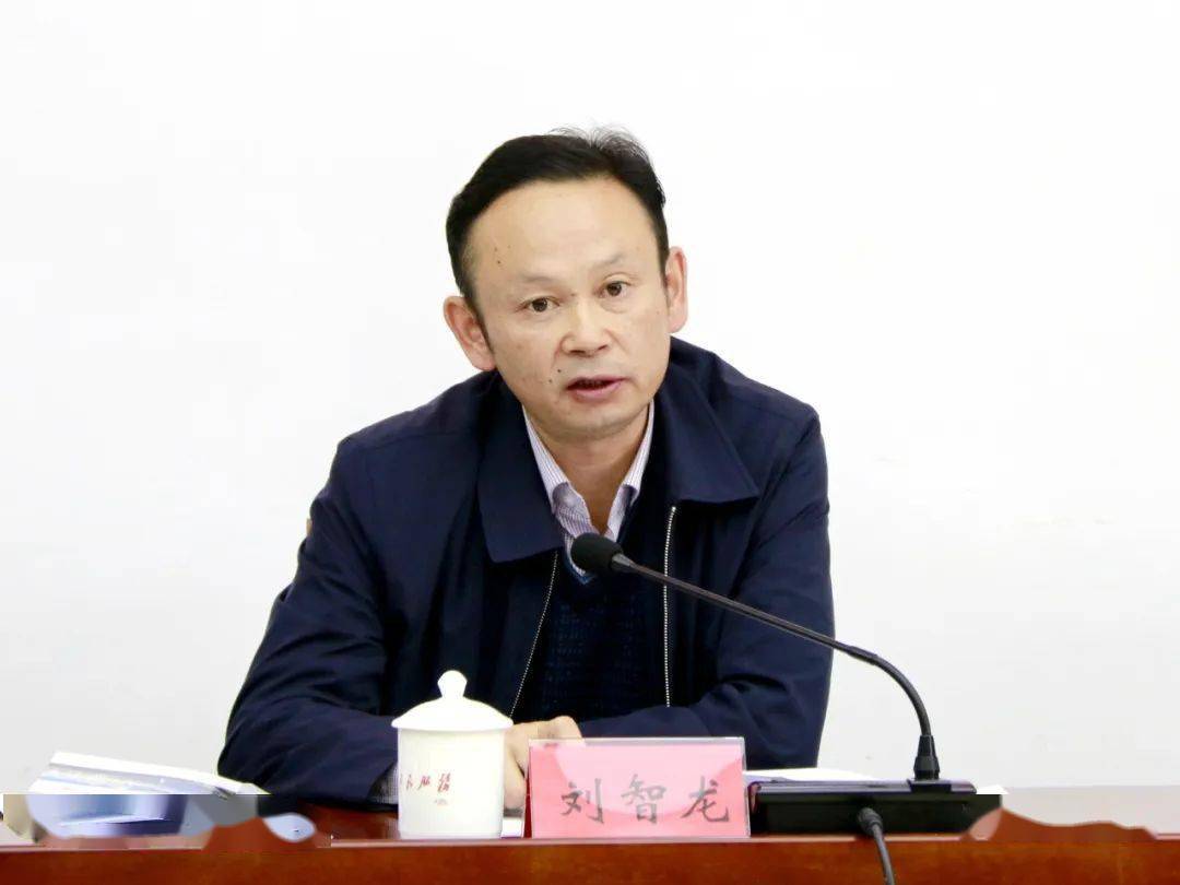 市财政局党组成员,副局长,国资委主任刘智龙,县委书记张振亚参加会议