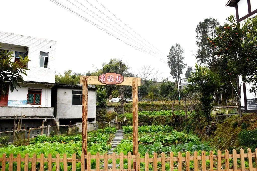 "村里还建起了党群文化小广场和新时代文明实践站,真正让文明不光停留