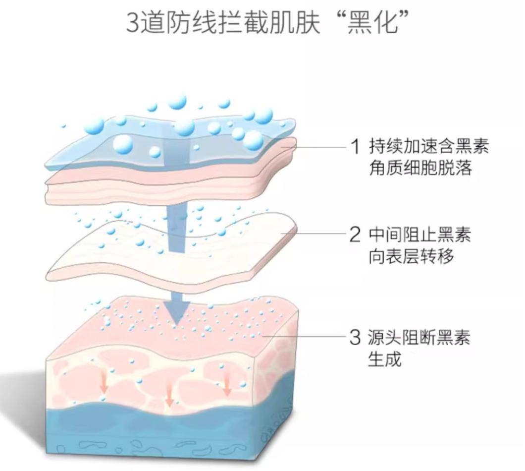 500年老字号