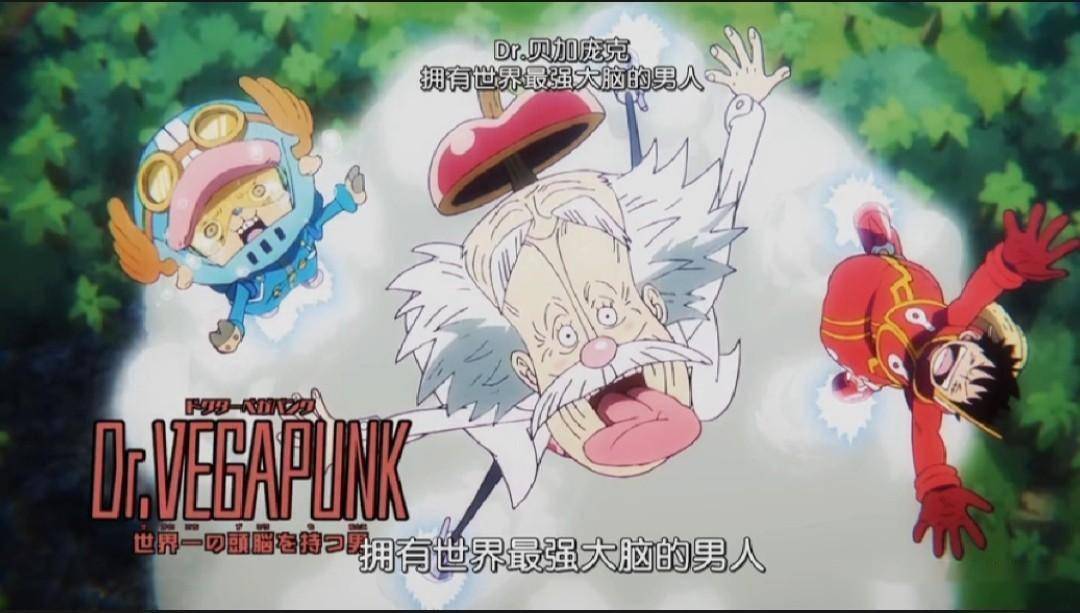 原创海贼王1096话年轻的龙找到贝加庞克准备邀请他加入革命军