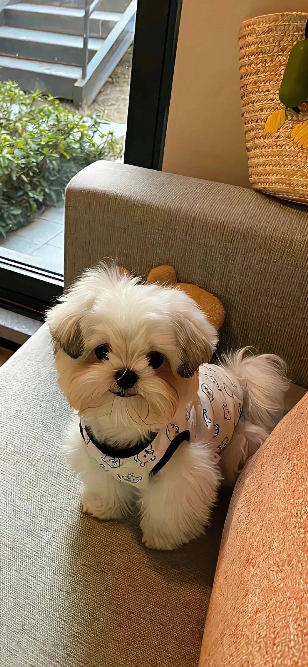 好用耐看的锁屏壁纸