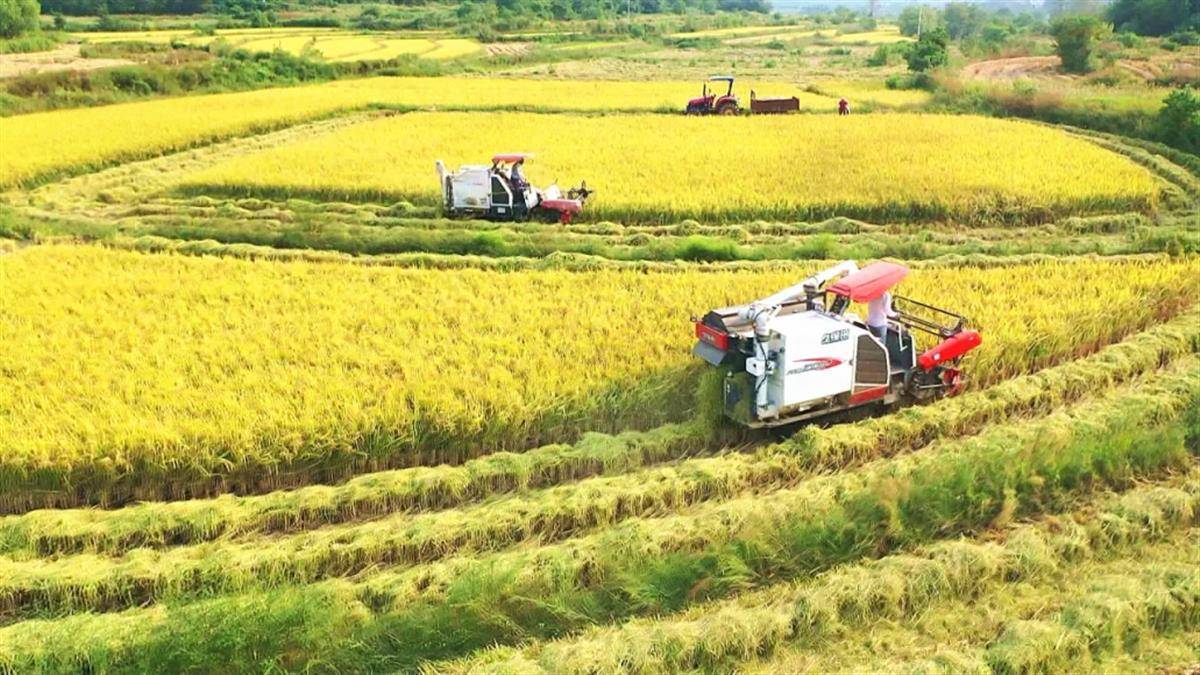 湖北孝昌获评全国农业生产全程机械化示范县