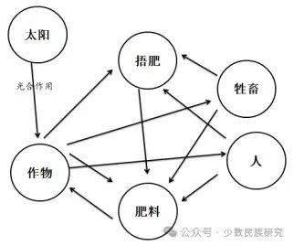 民族学考研:传统生态知识是一个"知识-实践-信仰的