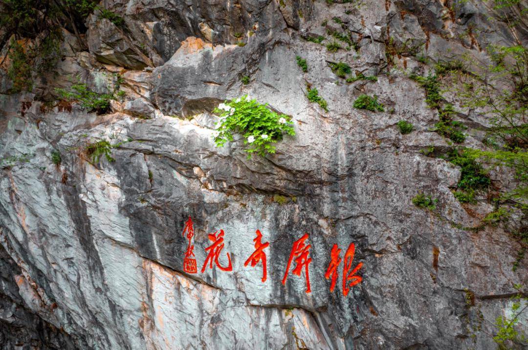 花期:3月底—4月中旬赏花点:银屏山景区油菜花花期:3月底—4月中旬