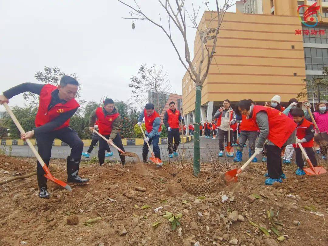 近1.8万棵树苗"安家"!桂城全民植树,共建绿美家园→_绿化_社区_活动