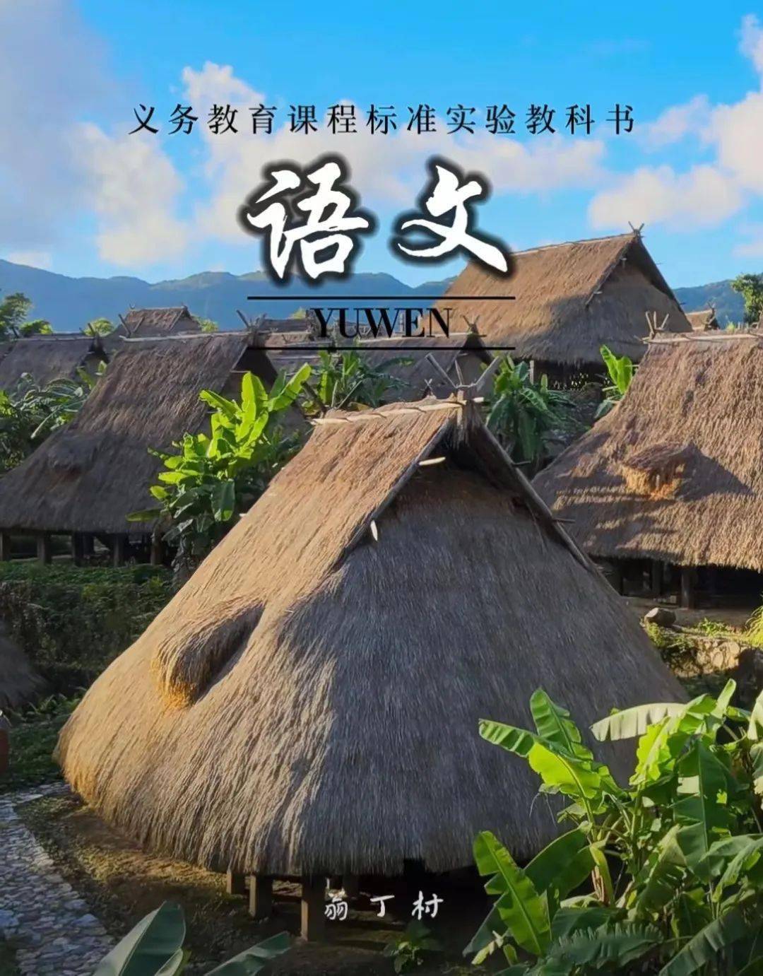 不小心在临沧拍到了语文课本封面_博尚_茶树_油菜花