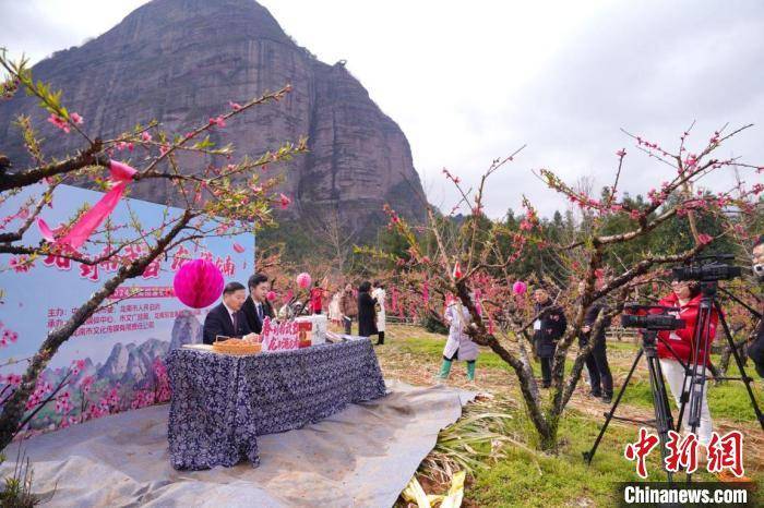 云阳桃花节开幕时间图片