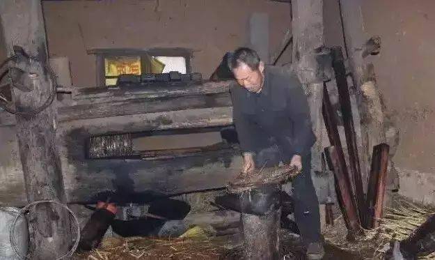 现在已经吃不起了._茶油_油茶_粉末