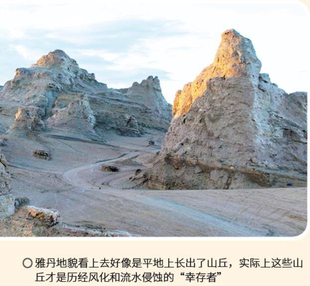 科学探秘 | 柴达木盆地里,藏着哪些神奇动物?_雅丹地貌_化石_知识