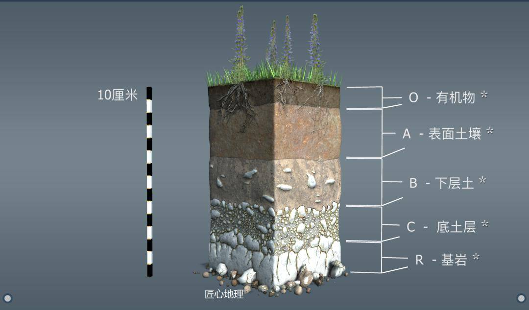 土壤剖面分层图片