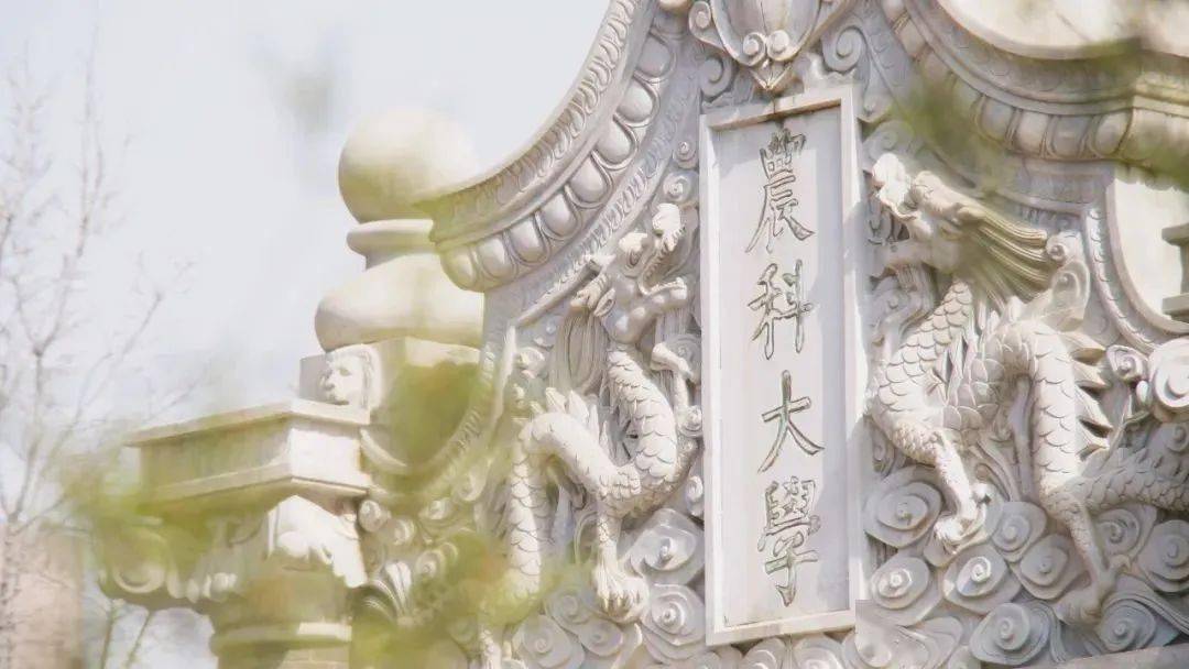 黑水,吉地生辉| 中国农业大学2024寒假"薪火相传"活动总结_回访_吉林