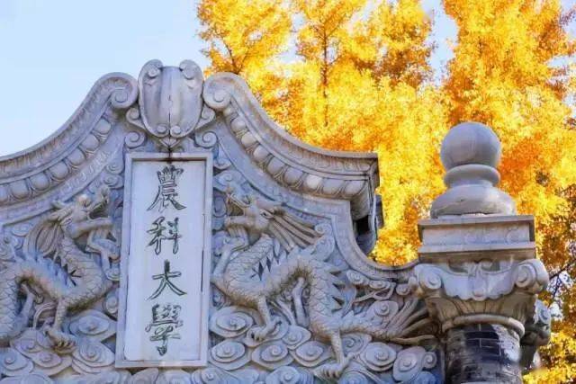 海纳百川,蜀你精彩 | 中国农业大学2024寒假"薪火相传"活动总结_回访