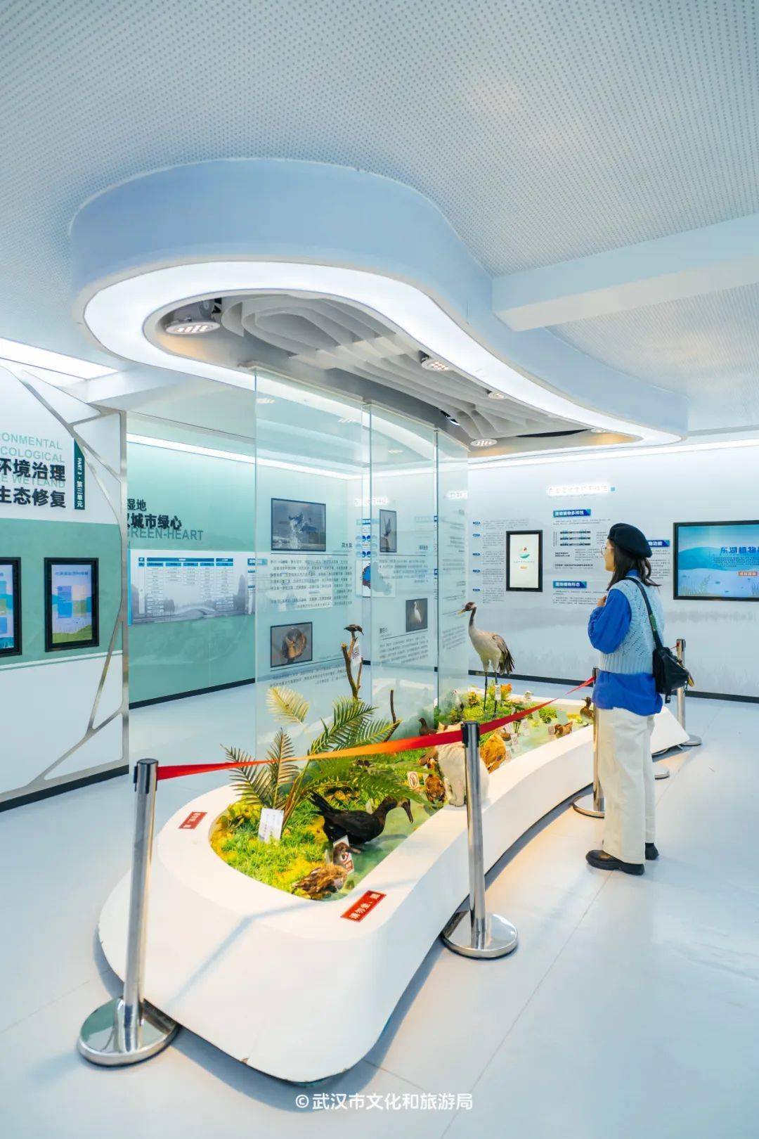 科普_昆虫_小朋友