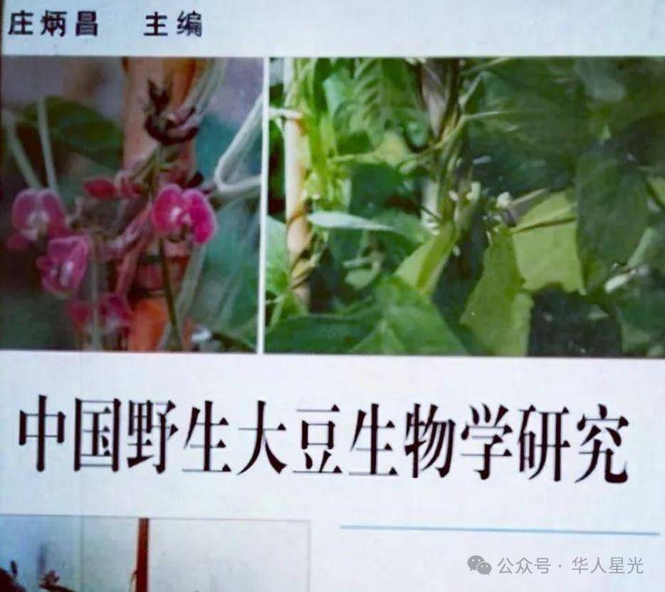 大豆_领域_庄炳昌