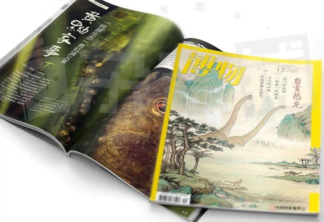 杂志的知识架构科学系统,有助于帮孩子建立起基础的博物知识脉络.