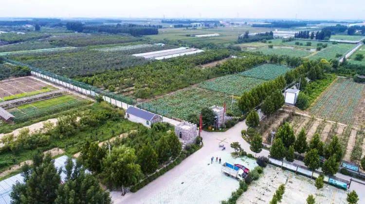 建设农业强区章丘这样耕耘