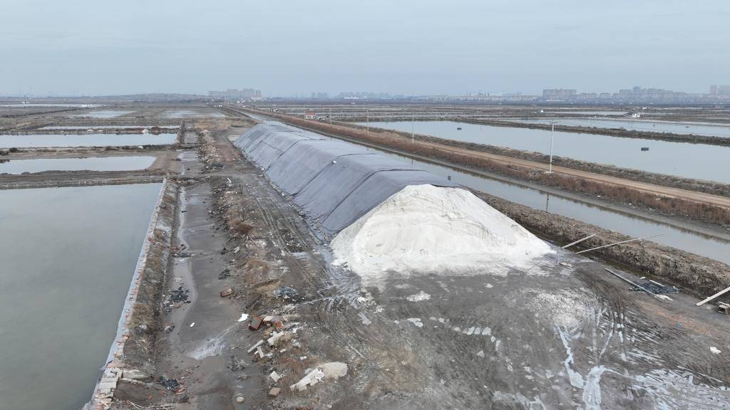 高盐值新征程青岛最后千亩盐田踏上转型路承载一甲子记忆古法制盐年产