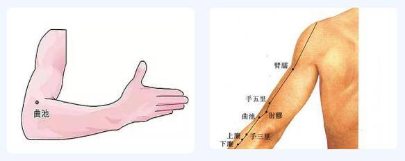 甲状腺结节按摩部位图图片