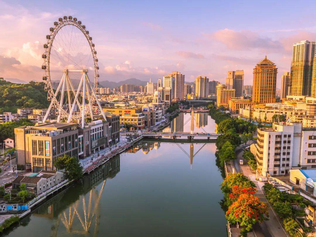 在中山拍到了语文课本封面适配度拉满