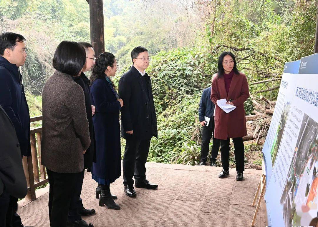 罗蔺调研两江新区宣传思想文化工作_发展_创新_体系