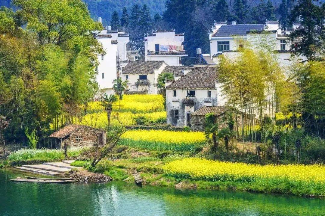 2024年春天最值得自驾游的 4大路线,美成天堂,第一条就想出发!