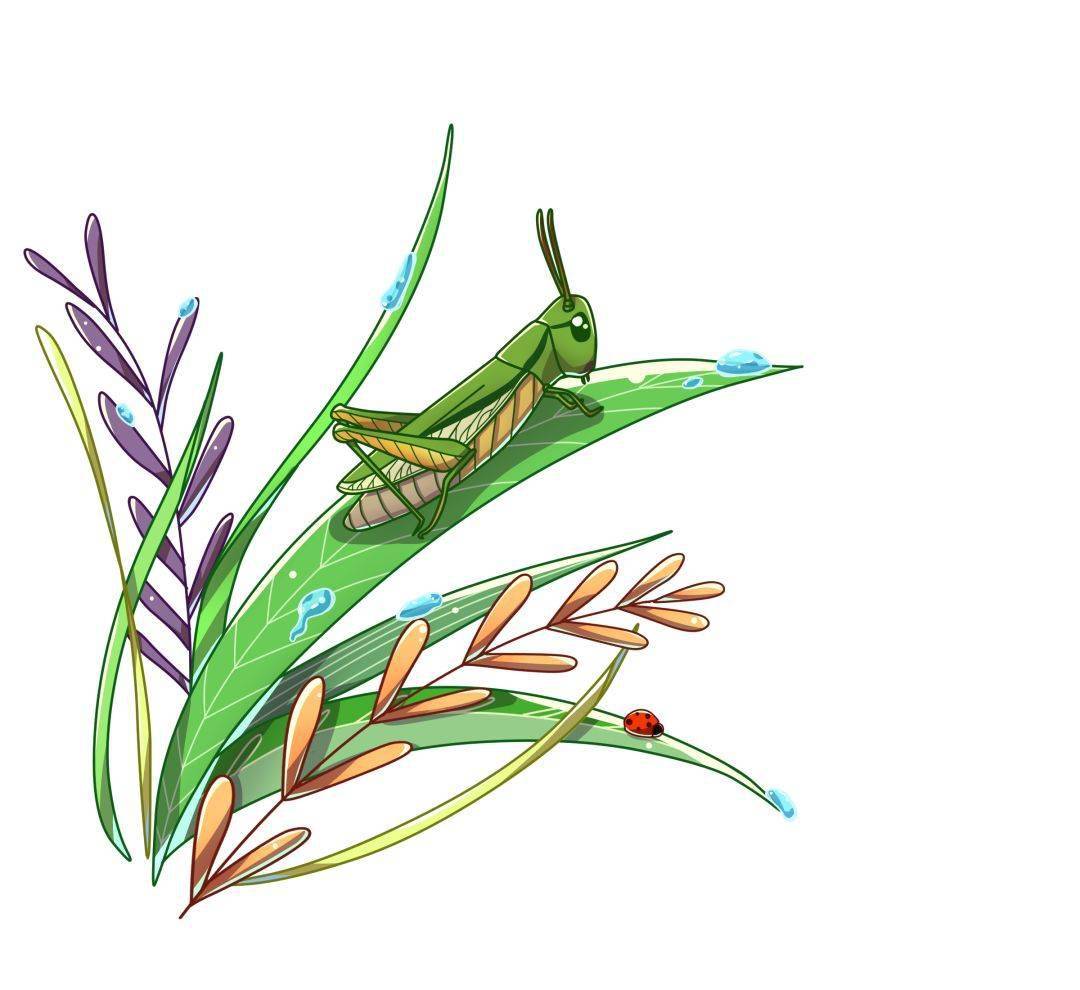 这就是惊蛰这个节气的来历.惊醒蛰伏于地下冬眠的昆虫.