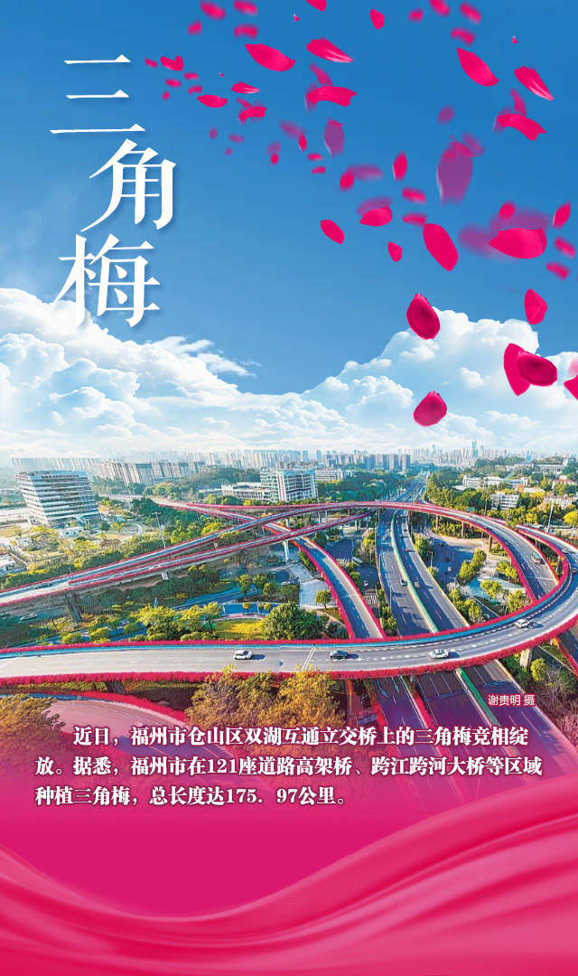 海报阳春三月带你看遍花样福建
