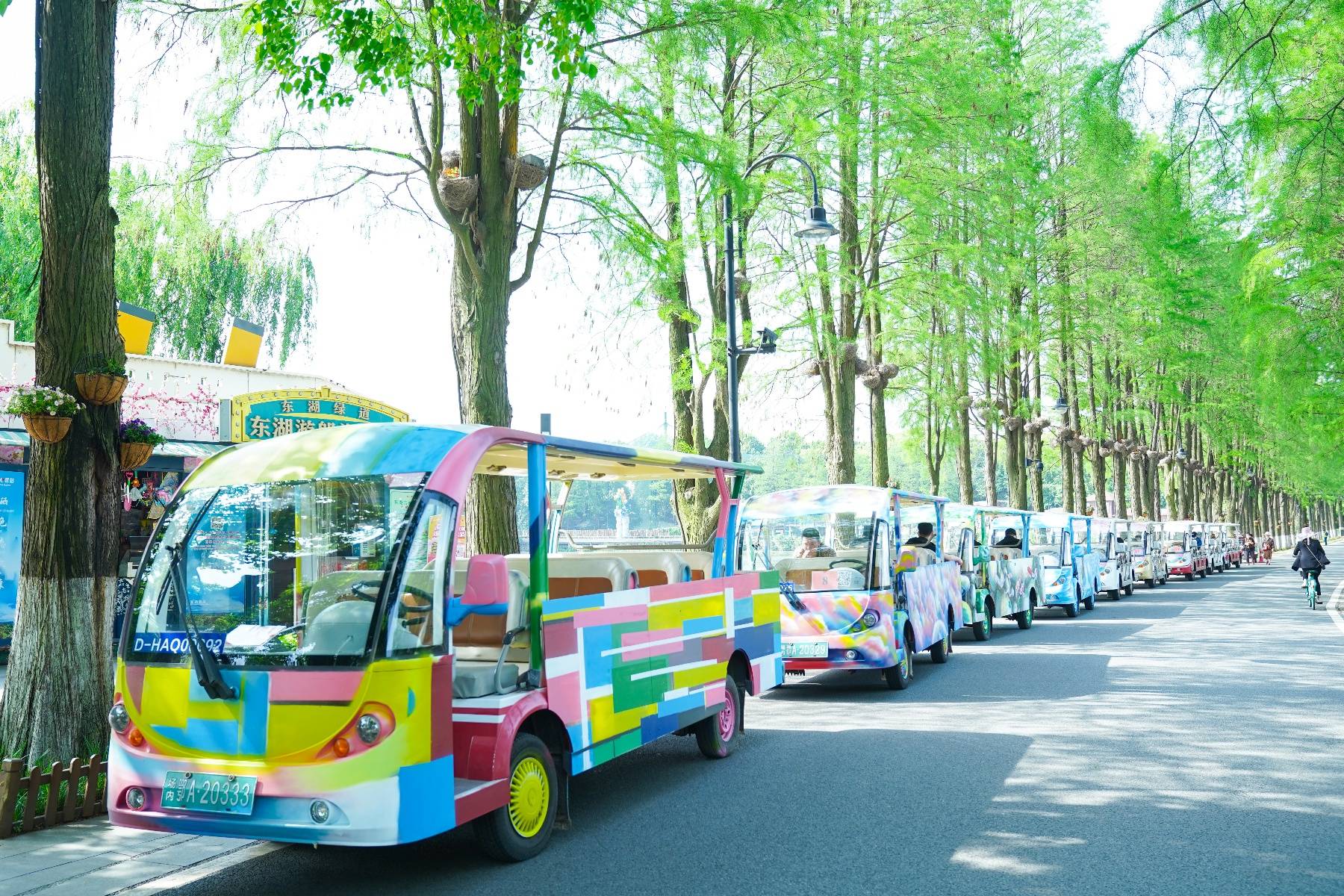 "活动,在以下区域:湖光序曲广场樱花市集入口处,东湖绿道观光车等候区